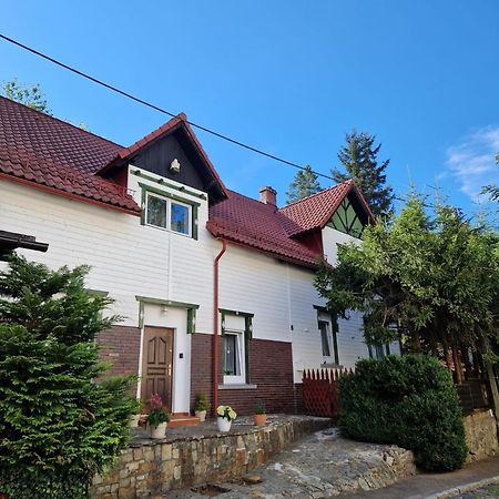 Apartament w Górach Swieradow-Zdroj Exterior foto